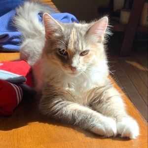 Meet your Posher, Julie